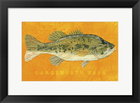 Framed Largemouth Bass Print