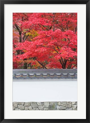 Framed Eikando Temple, Kyoto, Japan Print