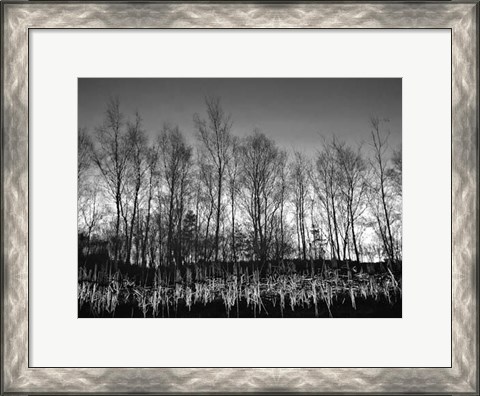 Framed Watery Reflection Print