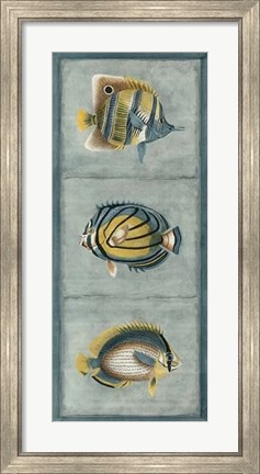 Framed Tropical Fish Trio I Print