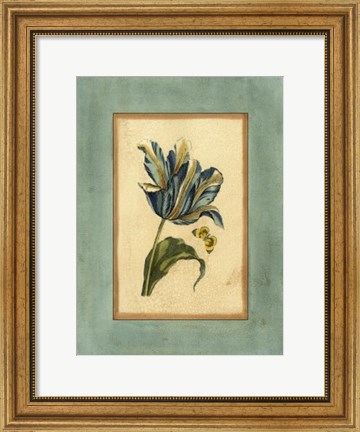 Framed Crackled Spa Blue Tulip II Print