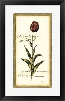 Framed Jen&#39;s Tulip II Print