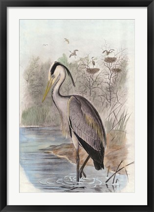 Framed Oversize Common Heron Print