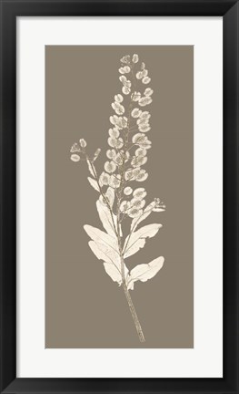 Framed Taupe Nature Study III Print