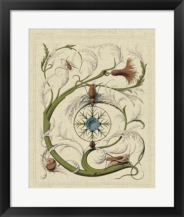 Framed Decorative Flourish III Print