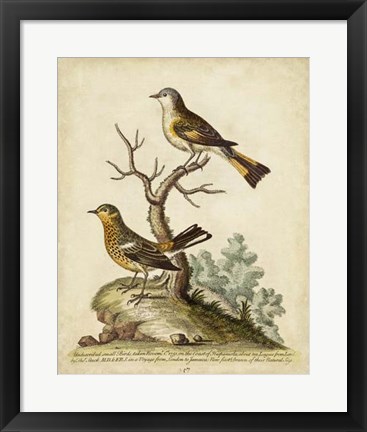 Framed Companions in Nature IV Print