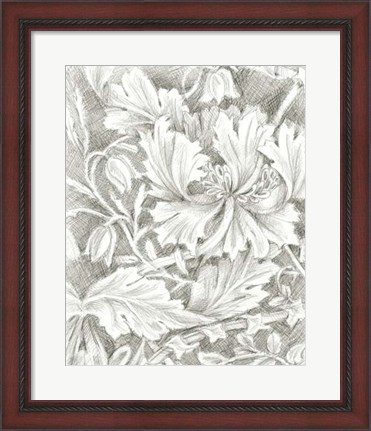 Framed Floral Pattern Sketch I Print