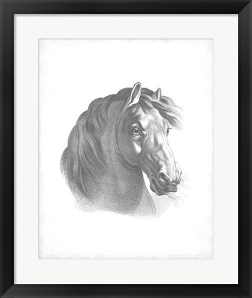 Framed Equestrian Blueprint II Print