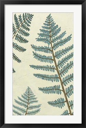 Framed Blue Fern Trio I Print