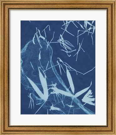 Framed Cyanotype No.5 Print