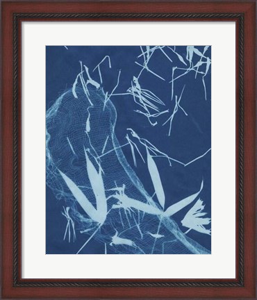 Framed Cyanotype No.5 Print