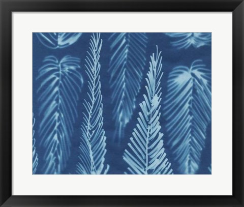Framed Cyanotype No.8 Print