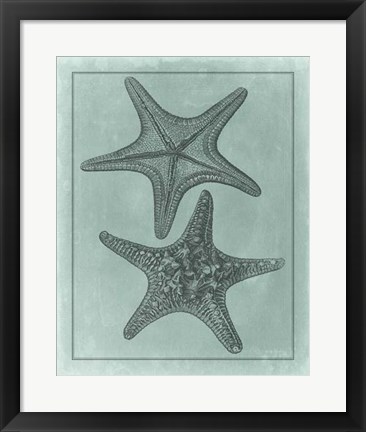 Framed Spa Shell Collection VII Print
