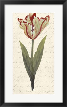 Framed Twin Tulips I Print