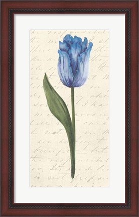 Framed Twin Tulips III Print
