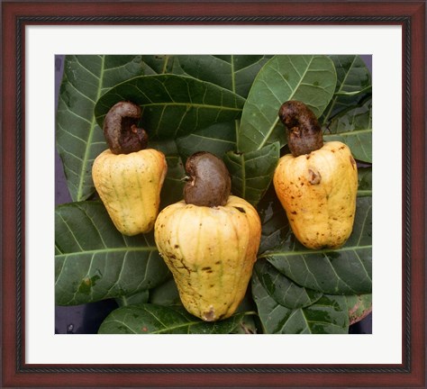 Framed Cashew Nuts, Thailand Print