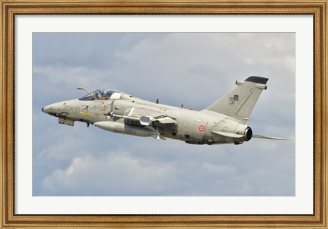 Framed Italian Air Force AMX fighter aircraft Print