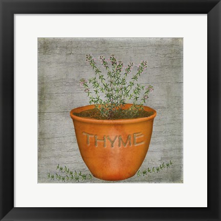 Framed Herb Thyme Print