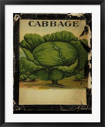 Framed Vintage Cabbage Print
