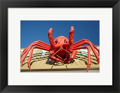 Framed Crustacean, Giant Lobster, Stanley, Tasmania, Australia Print