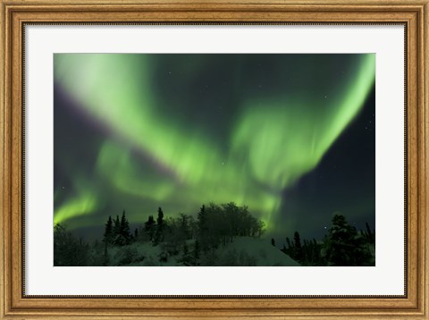 Framed Aurora Borealis Takes Flight Print
