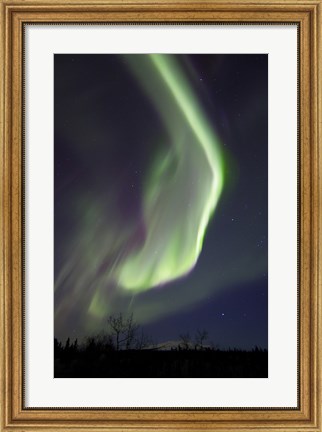 Framed Aurora Borealis with Orion&#39;s Belt, Yukon, Canada Print