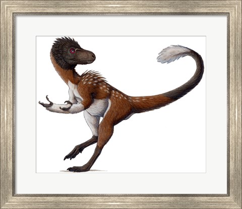 Framed Dilong Paradoxus All Fluffed up and Feeling Sassy Print