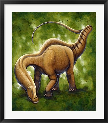 Framed Apatosaurus Print