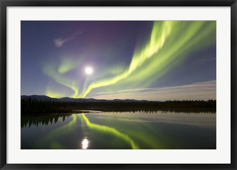 Framed Aurora Borealis and Full Moon over the Yukon River, Canada Print