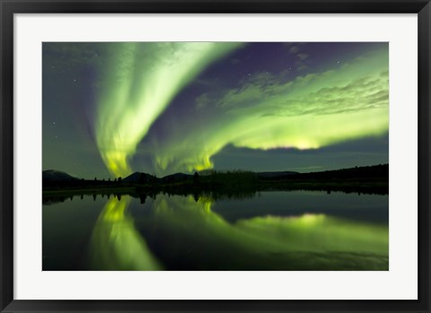 Framed Aurora Borealis Whitehorse, Yukon, Canada Print