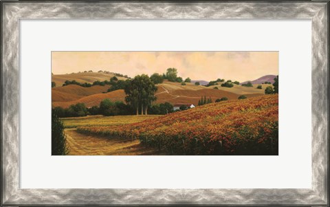 Framed Carneros Vineyards Print