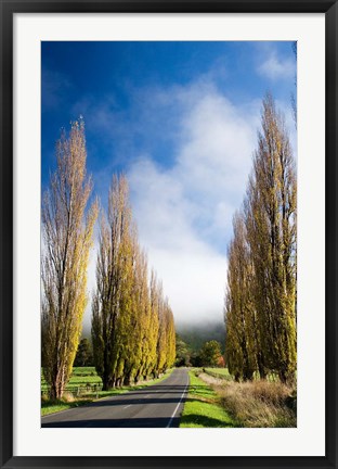 Framed Autumn Colour and Wanganui, Raetihi Road, near Wanganui, North Island, New Zealand Print