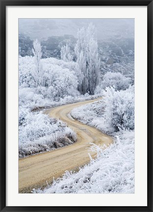 Framed Hoar Frost and Road by Butchers Dam, South Island, New Zealand (vertical) Print