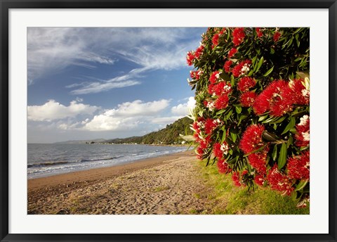 Framed Beach, Pohutukawa, Thornton Bay, No Island, New Zealand Print