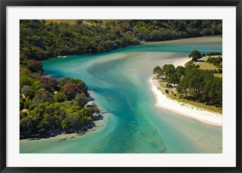 Framed Cooks Beach, North Island, New Zealand Print