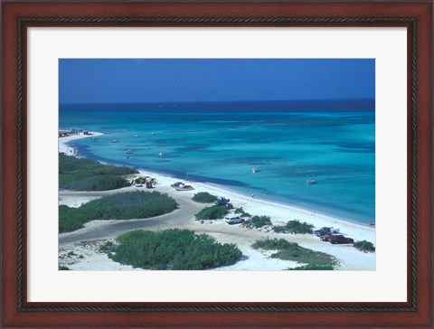 Framed Palm Beach,  Aruba, Caribbean Print