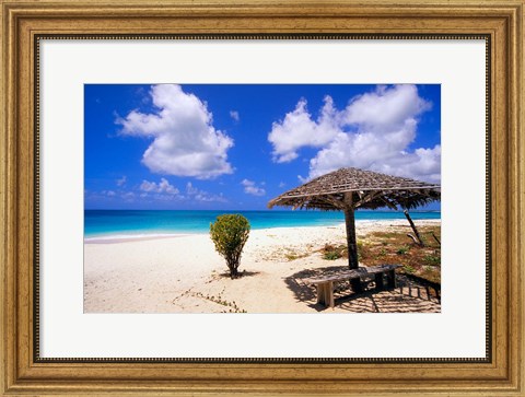 Framed Coco Point Beach, Barbuda, Antigua Print