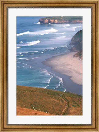Framed New Zealand, South Island, Otago Coast Print