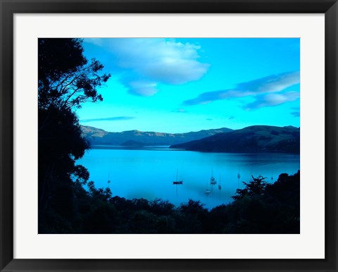 Framed Sailboats at Anchor, Akaroa Peninsula, New Zealand Print