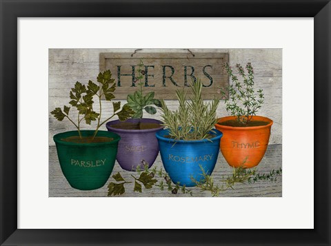 Framed Potted Herbs Print