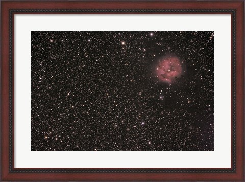 Framed Cocoon Nebula Print