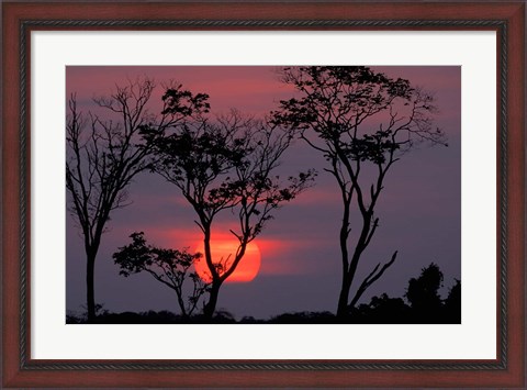 Framed Amazonia Sunset Print