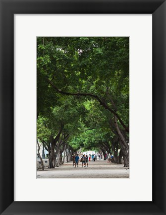 Framed Cuba, Havana, Havana Vieja, Paseo de Marti walkway Print