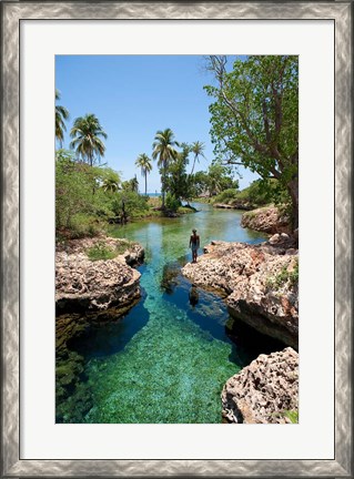 Framed Alligator Hole, Black River Town, Jamaica, Caribbean Print