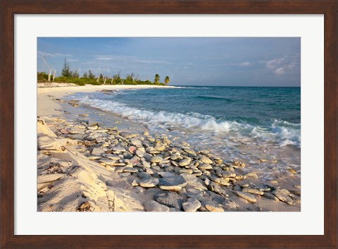 Framed Waves, Coral, Beach, Punta Arena, Mona, Puerto Rico Print