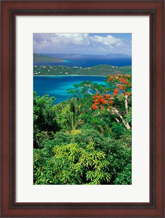Framed Magens Bay, St Thomas, Caribbean Print