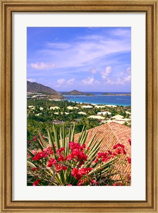 Framed Orient Bay and pink flowers, St Martin, Caribbean Print