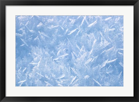Framed Detail of Winter Snow Print