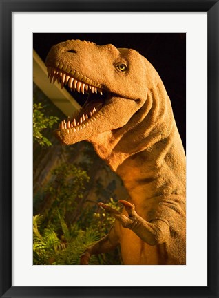 Framed Royal Tyrrell Museum of Palaeontology, Drumheller, Alberta, Canada Print