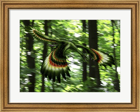 Framed Archaeopteryx flying through a forest Print